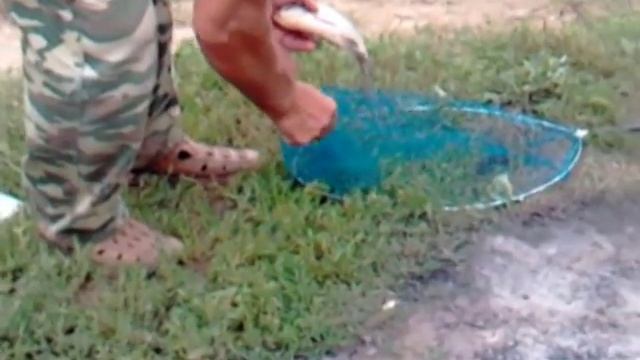 Сулежский Борок 22 08 2013г смотреть онлайн