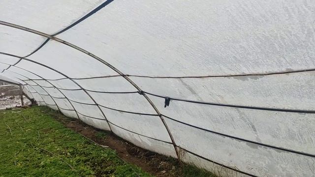 Бізнес в селі . Урагани поламали теплиці. Ремонт і накривати будем плівкою. Буде відіо, чекаємо. смотреть онлайн