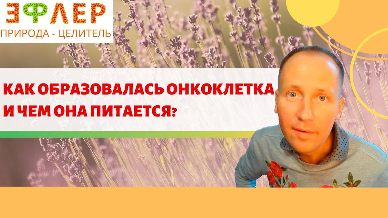 ОН3 - НЕ КОРМИТЕ ОНКОКЛЕТКУ смотреть онлайн