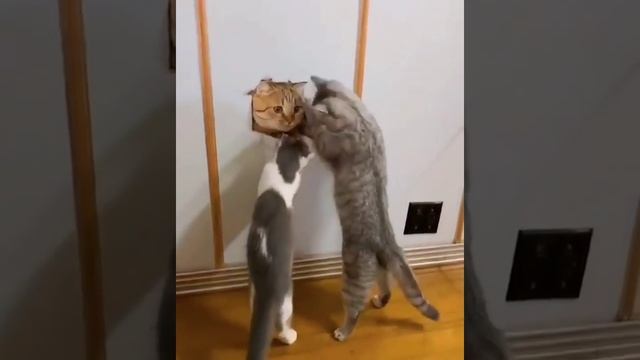 что ты такое?mp4 смотреть онлайн