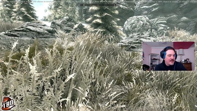 In search of the black pearl! SEVERAL ACTUALLY - Skyrim Journal Ep 31 pt1 смотреть онлайн