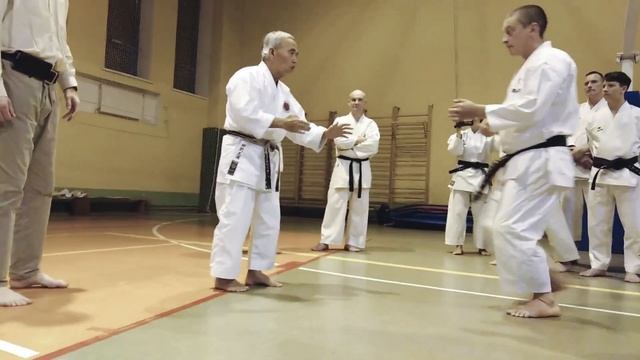 Masaru Miura 9 Dan SKIF Empi kata bunkai смотреть онлайн