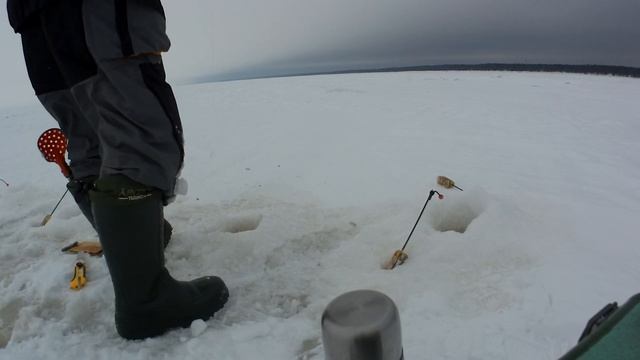 Ловля корюшки в Карелии. Оживляем клев "огурцов" смотреть онлайн
