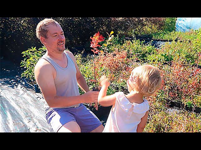 ЗАХОДИ - НАЛЕТАЙ, ТОРОПИСЬ - ПОКУПАЙ 2024!!! Саженцы на УСАД.РФ смотреть онлайн