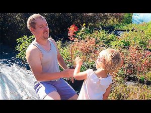 ЗАХОДИ - НАЛЕТАЙ, ТОРОПИСЬ - ПОКУПАЙ 2024!!! Саженцы на УСАД.РФ