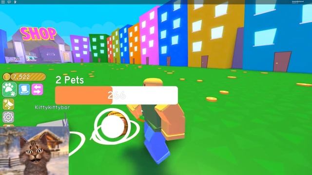 Revisiting Roblox Pet Simulator 1 Year Later.. смотреть онлайн