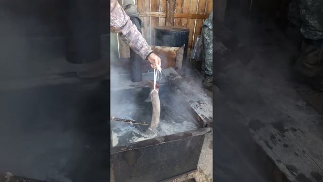 Первичная консервация пант!!! смотреть онлайн