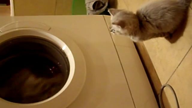 Глупый ребенок )) смотреть онлайн