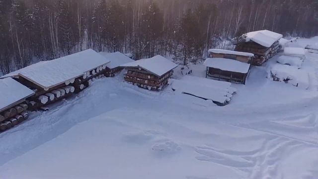 Производство срубов из кедра и лиственницы. смотреть онлайн