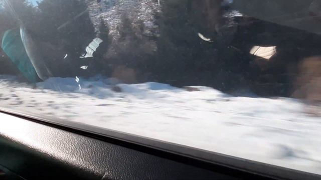 НОЧНОЙ переезд и поездка В ГОРЫ смотреть онлайн