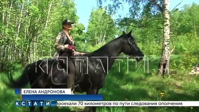 Новая свалка разрастается на землях сельхозназначения в Кстове смотреть онлайн