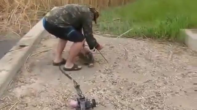 Новый способ ловли рыбы смотреть онлайн