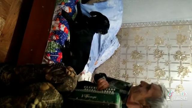 Певец под гармонь смотреть онлайн