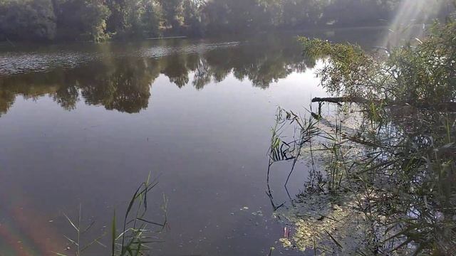 рыбалка на Безымянке, Сумы смотреть онлайн