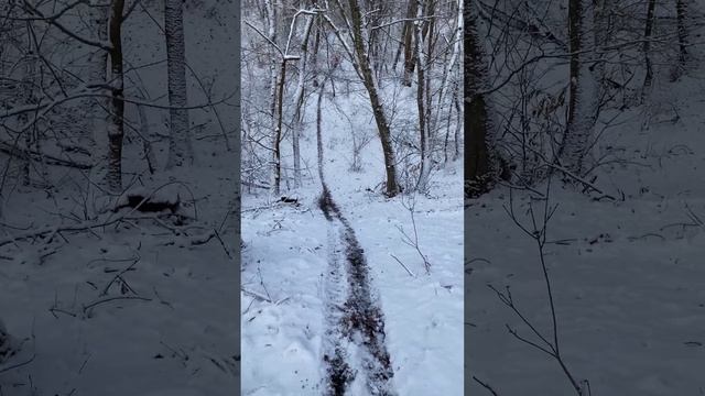 Эндуро Kayo K1 смотреть онлайн