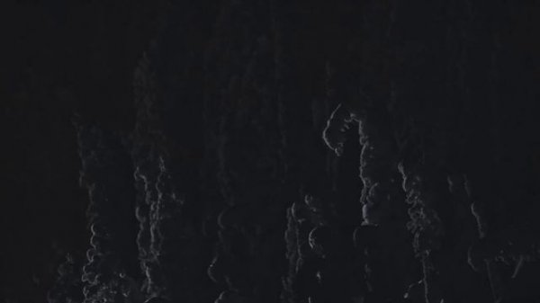 Lynx 49 Ranger | Lynx Lineup 2019