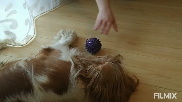 Наши милые лежебоки смотреть онлайн