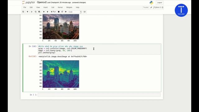 OpenCV Input Gambar, Deteksi Edge dan Mencari Kontur Sebuah Gambar смотреть онлайн