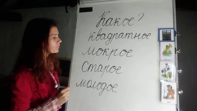 Пишем вместе - Имя прилагательное (часть 2)