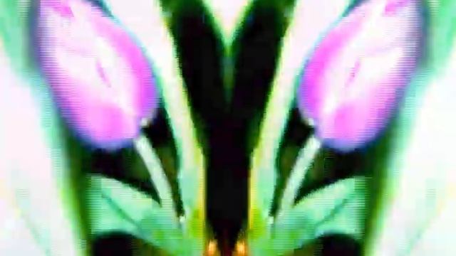 UNDERGROUND RAILROAD Ginkgo Biloba - Official Video