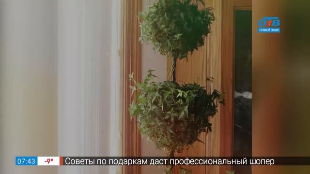 Садовые истории – хедера смотреть онлайн