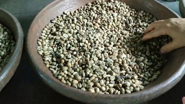 Старинный способ приготовления кофе лувак / Самый дорогой кофе в мире смотреть онлайн