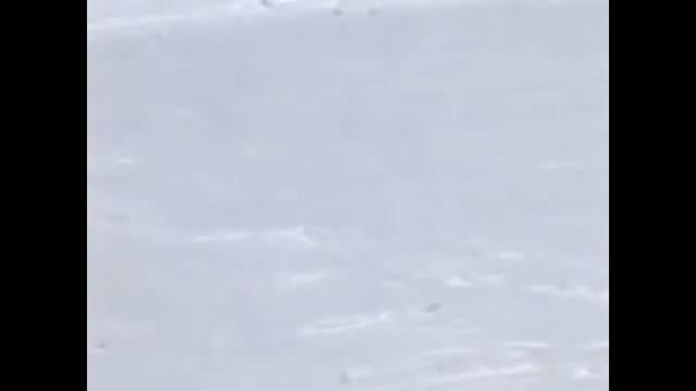 Школа горных лыж. Урок 6. Основы карвинга смотреть онлайн