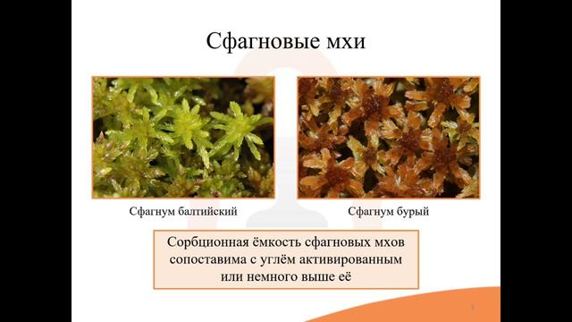 3.5. Адсорбирующие средства смотреть онлайн