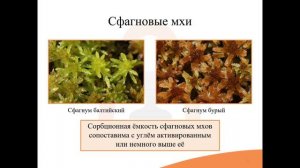 3.5. Адсорбирующие средства