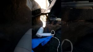 Пропала искра, Toyota 5afe