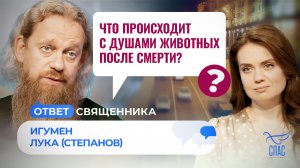 ЧТО ПРОИСХОДИТ С ДУШАМИ ЖИВОТНЫХ ПОСЛЕ СМЕРТИ? ИГУМЕН ЛУКА (СТЕПАНОВ) / ОТВЕТ СВЯЩЕННИКА