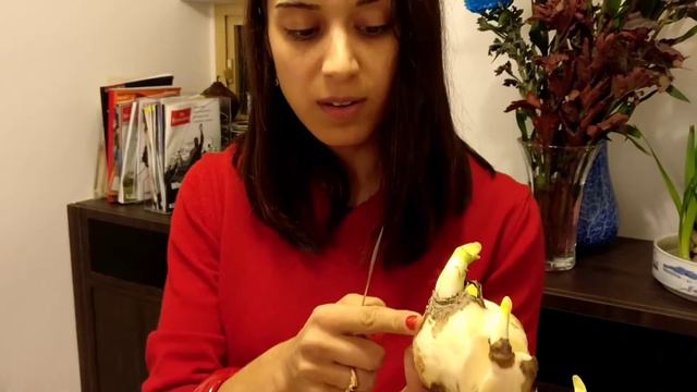 Chinese New Year in Hong Kong смотреть онлайн