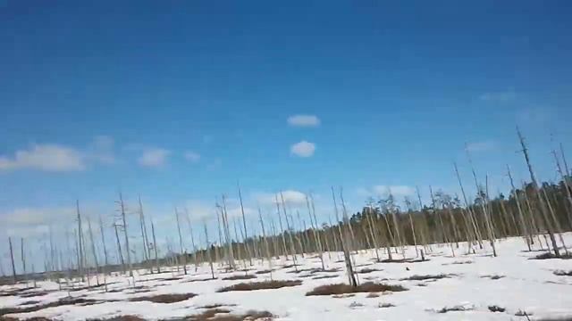 Снегоход.Болото.Карелия.Придурки смотреть онлайн