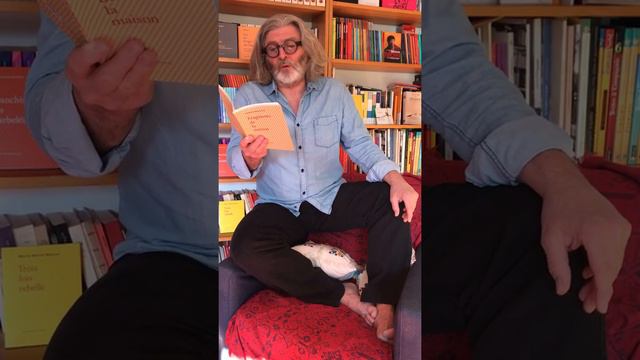 Apéro-poésie avec Bruno Doucey #28 / Habiba Djahnine смотреть онлайн