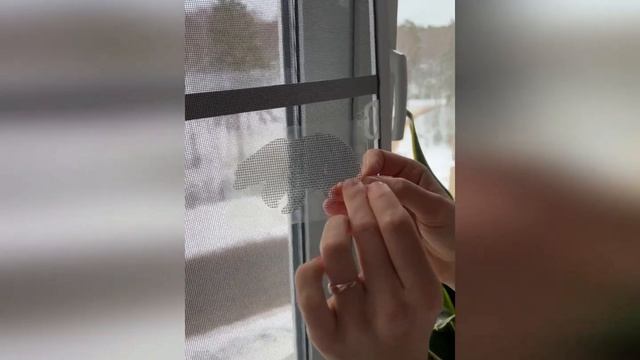 Ремонт москитных сеток своими руками заплатка Слон