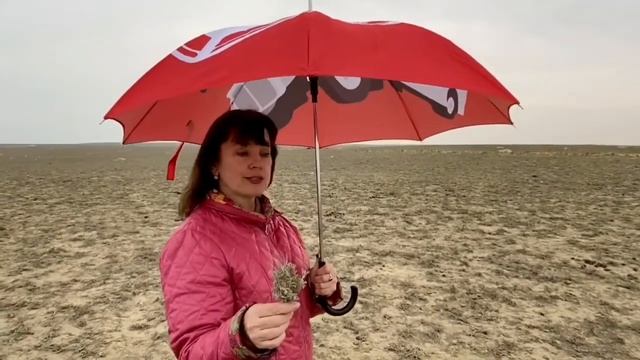 Aktau City Tour - Туры по Мангистау смотреть онлайн