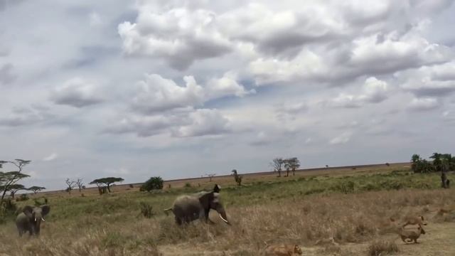 Jack Horner EPIC FAIL (From Bizarre Dinosaurs) смотреть онлайн