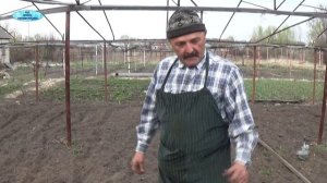 СПОСОБ ПОСАДКИ ЛУКА АРПАЧИК-ВАЖНЫЕ ТОНКОСТИ!