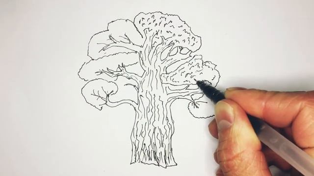 Как нарисовать дерево дуб - How to draw an oak tree смотреть онлайн