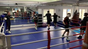 Бокс спарринг 19