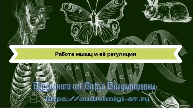 Биология 8 класс $11 Работа мыщц и её регуляция