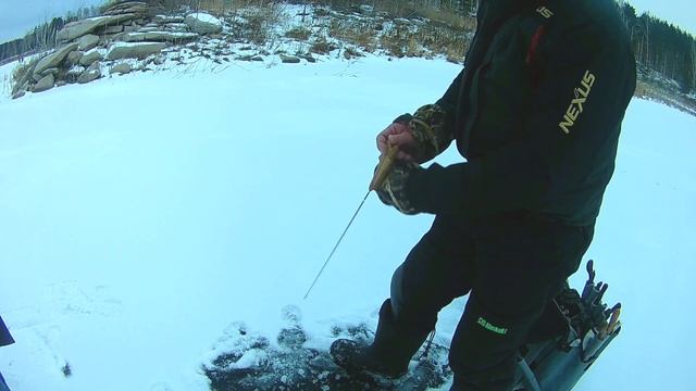 Ловля окуня зимой на блесну. 1 серия + Розыгрыш смотреть онлайн