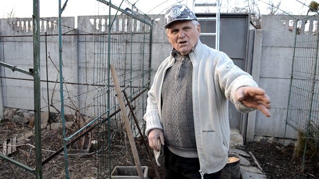 АКТИНИДИЯ  - как посадить актинидию весной