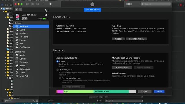 Hướng dẫn thay file Name và Vietphrase TTV Translate trên IOS смотреть онлайн