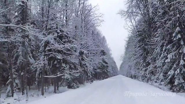 Зимний Лес | Дорога в Снегу с Красивой Природой Зима все Засыпало Снегом под Музыку смотреть онлайн