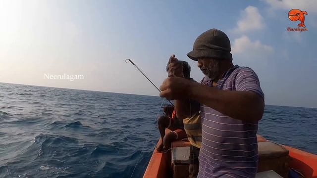 KING FISH & GROUPER FISH CATCHING IN THE SEA смотреть онлайн