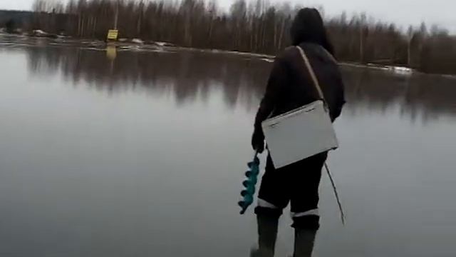 кайт каталка на пруду в стрижах 02.12.2017 смотреть онлайн