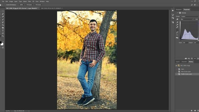 Изменение цветов (тонирование) фотографий с помощью кривых в Фотошопе смотреть онлайн
