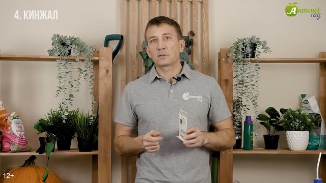 Лучшие сорта острого перца. Рекомендации по посеву острого перца семенами на рассаду смотреть онлайн