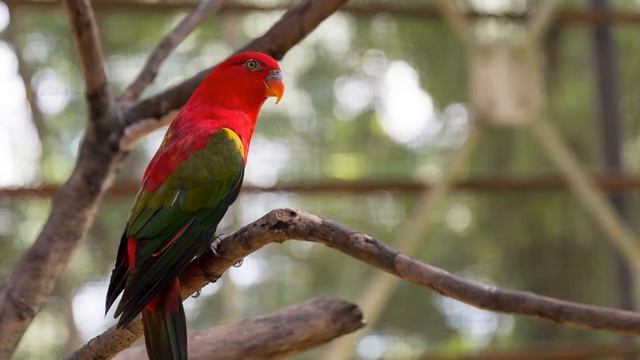 ОЧЕНЬ ПОЗИТИВНАЯ ПРИЯТНАЯ МУЗЫКА поднимет настроение каждому ** МУЗЫКА ДЛЯ УСПОКОЕНИЯ И РАССЛАБЛЕНИ